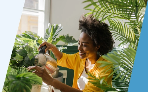 Best Indoor Plants for Winter